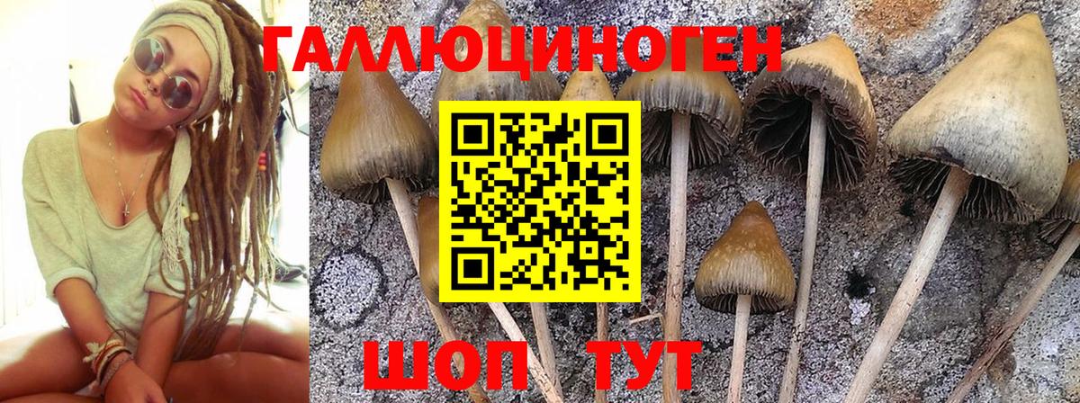 Псилоцибиновые грибы ЛСД Мыски