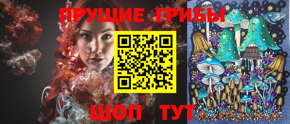 Мыски  Галлюциногенные грибы GOLDEN TEACHER  Вход с VPN 